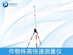 �������������ʲô����������������